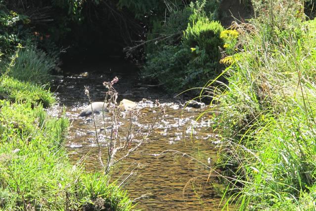 Little Paradise & Petting Farm Greymouth Exterior foto