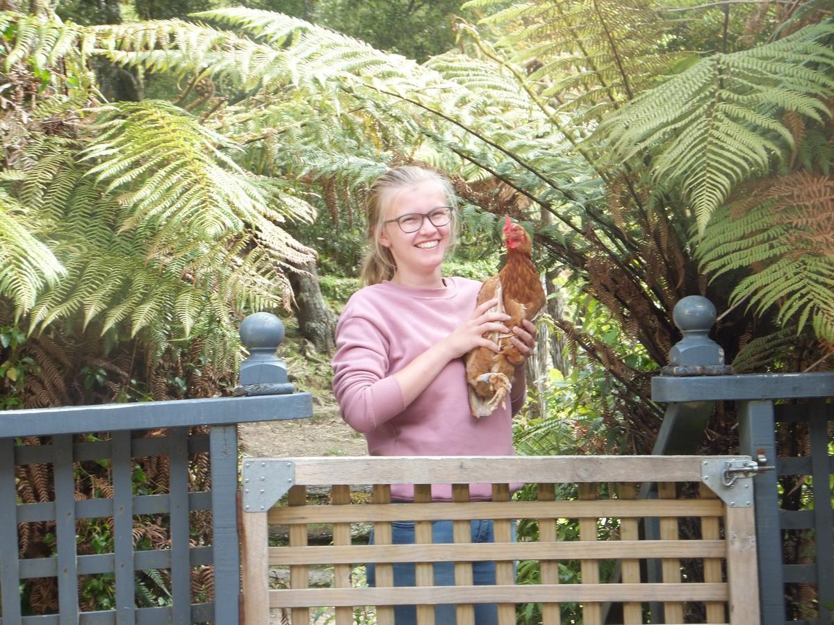 Little Paradise & Petting Farm Greymouth Exterior foto