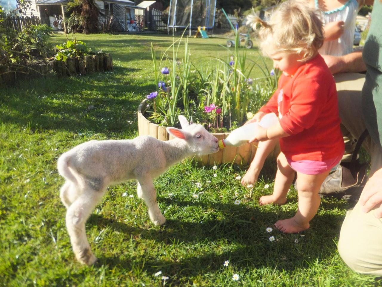 Little Paradise & Petting Farm Greymouth Exterior foto